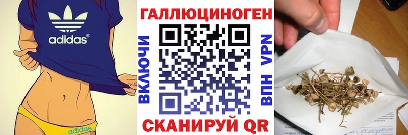 закладки  Семикаракорск  Галлюциногенные грибы Psilocybe 